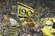 BVB, fahnen, Borussia Dortmund, Südtribüne, Fans, BVB-Fans, BVB, fahnen, Borussia Dortmund, Südtribüne, Fans, BVB-Fans