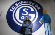 Gerald Asamoah, FC Schalke 04.