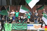 Fans, SV Zweckel, Saison 2014/2015, Fans, SV Zweckel, Saison 2014/2015