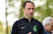 DJK Vierlinden: Trainer will wieder um Meistertitel mitspielen