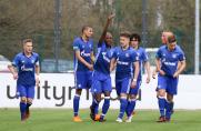 FC Schalke 04 U17, B-Junioren-Bundesliga West.