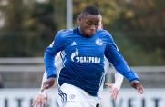 Schalke 04 II: Arnold Budimbu wechselt in die Regionalliga