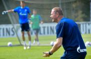 OL W: Schalkes U23 schlägt auch SF Baumberg
