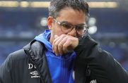 Bedient: Schalke-Trainer David Wagner (