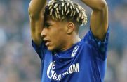 Schalkes Jean-Clair Todibo könnte den Verein bald wieder verlassen.