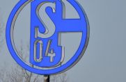 Der FC Schalke 04 hat sich offenbar das nächste Talent für die Knappenschmiede gesichert.