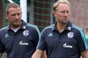 Jörg Böhme (links) war einst auf Schalke unter Jürgen Luginger Co-Trainer der U23-Mannschaft.