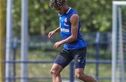 Jean-Clair Todibo spielte in der Rückrunde für den FC Schalke (