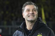 Borussia Dortmunds Sportdirektor Michael Zorc hat allen Grund zur Freude: Das nächste England-Juwel ist im Anflug auf den BVB. (