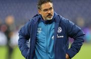 David Wagner ist nicht mehr Trainer beim FC Schalke (
