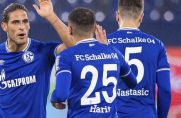Schalke-Stürmer Goncalo Paciencia holt sich die Glückwünsche für sein Tor zum 1:1 ab.