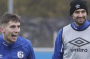 Haben Schalke 04 im Sommer verlassen: Jonjoe Kenny (l.) und Daniel Caligiuri.