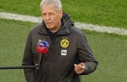 Lucien Favre ist nicht mehr Trainer des BVB (