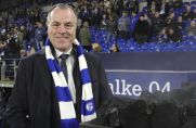Ex-Schalke-Aufsichtsratsvorsitzender Clemens Tönnies.