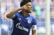 Klaas-Jan Huntelaar bejubelt einen Treffer für den FC Schalke 04.