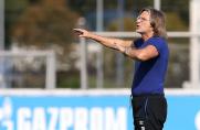"Brillant gekontert": Schalke-U19 schießt 1. FC Köln ab