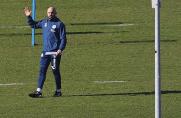 Schalke: U19 und U17 nach acht Partien ungeschlagen