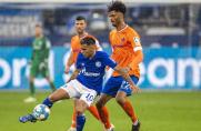 Schalke: S04-Star Zalazar weint auf der Bank