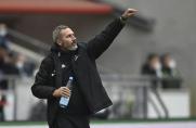 2. Bundesliga: HSV-Trainer bedauert Teroddes Fehlen bei Schalke