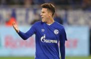 International: Desaströses Halbjahr für Hoppe nach Schalke-Abgang
