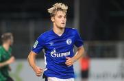 RL: Preußen Münster verstärkt sich mit Schalke-Abwehrspieler