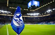 Schalke testet in Länderspielpause gegen Bundesliga-Klub