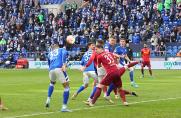 Schalke-Fans feiern: "Grammozis wechselt den Sieg ein"