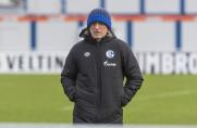 Schalke U19: Corona - Elgert in Quarantäne, sein Team siegt