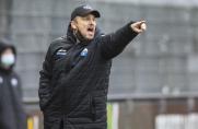 Vor-Schalke-Spiel: Paderborn-Trainer enttarnt S04-Spione