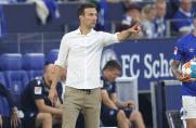 Das sagt der KSC-Trainer über das "Kaliber" Schalke