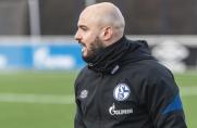 Schalke - BVB: Brisante Ausgangslage vor Revierderby - wessen Serie reißt?