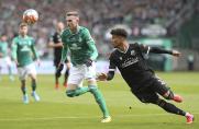 Schalke freut sich: Bremen und Nürnberg lassen Punkte liegen