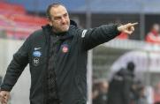 Trainer von Schalke-Gegner: Terodde "kann aus Scheiße Gold machen"