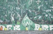 Werder Bremen, Werder Bremen
