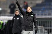 Nach Schalke-Gerüchten: Neuer Klub von Fürth-Trainer steht offenbar fest