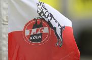 Aus der Regionalliga: Dieses Top-Talent holt der 1. FC Köln