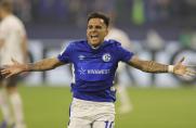 Schalke: Jubel-Tattoo - macht es Rodrigo Zalazar wie Leroy Sané?