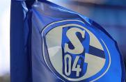 Schalke II: Nach zwölf Abgängen - erster Neuer kommt aus Amsterdam