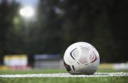 Regionalliga: Nord-Meister steht fest - Aufstiegsspiele gegen BFC Dynamo