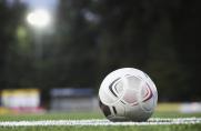 U19-Bundesliga: Nächster Aufsteiger fix - zwei von drei Entscheidungen stehen