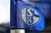Schalke schnappt sich U19-Nationalspieler für die U23