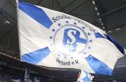 Schalke: Neuzugang im Trainerteam
