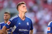 Schalke: Der Joker sticht und stellt fest - "Die Fans stehen hinter uns"