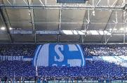 Schalke: Last-Minute-Elfer bringt die Arena zum Beben