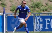 FC Schalke 04: Vertrag aufgelöst - Abgang Nummer 18 perfekt