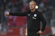 Schalke: Ex-U23-Trainer Torsten Fröhling verklagt Schalke
