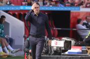 Bayer Leverkusen: Boss über Trainerwechsel  - "Wir sind vorbereitet"