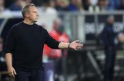 TSG Hoffenheim: Drei Ausfälle, das sagt Breitenreiter über seine Schalke-Rückkehr