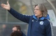 U19: 1. FC Köln schlägt S04 in Spiel auf „höchstem internationalen Niveau”