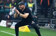 Baumgarts Dauerläufer zeigen Moral: 1. FC Köln holt Remis gegen Hoffenheim